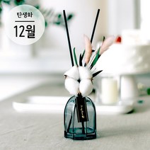 12월 탄생화 디퓨저 목화 세트 120ml 향기뿜뿜 천연디퓨저 꽃집향기 인테리어 집들이 생일선물, 튤립