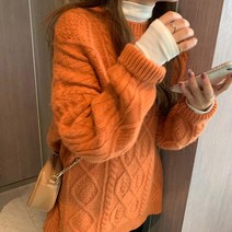 가을 겨울 여성용 니트 조끼 스웨터 티셔츠 코트
