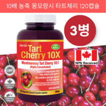 [허바] 몽모랑시 타트체리 10배 농축 500mg 120정 x3, 3병