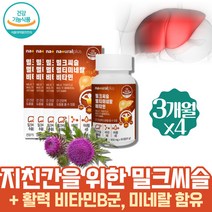 침묵의장기 간 건강 밀크티슬 입맛없을때 피곤할때 꼭먹어야하는 영양제 여자 술해장 가시엉겅퀴 리버케어 간수치 남성비타민 숙취 비컴플렉스 밀크시슬복용법 엉겅퀴 피로 고함량