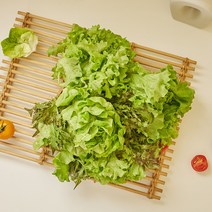 프레시온 무농약 친환경 스마트팜 수경재배 유러피안 샐러드 채소 야채 1kg 버터헤드 로메인 쌈채소 샐러드, 1박스