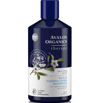 아발론오가닉스 티트리 민트 스칼프 노말라이징 샴푸, 1개, 414ml