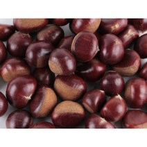 정안 옥광밤 공주맛밤 계룡산 특대 밤뜨래 햇밤 알밤 2kg, 1개, 공주밤 2kg특.