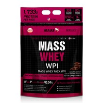 매스96 매스웨이 포대유청 WPI 보충제 초코맛, 2000g, 5개