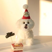 댕밥 강아지 생일파티 커스텀 도시락케이크, A타입)메리크리스마스케이크, A타입 빨강원형, S