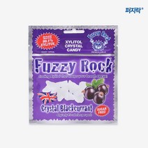 퍼지락 자일리톨 무설탕 캔디 블랙커런트맛 40g, 1개