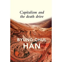 Capitalism and the Death Drive Paperback, Polity Press