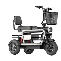 3륜 오토바이 삼발이 펫바이크 야간 주행등 직장 리튬, 48V20A 자동차 리튬 배터리 45km