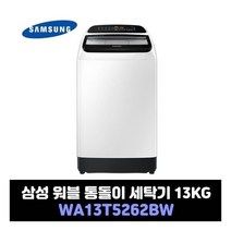 삼성전자 워블 통돌이 세탁기 13kg WA13T5262BW 원룸 오피스텔, 1개