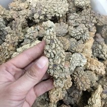 암모나이트화석 삼엽충화석 나무화석 천연 공룡 캐스트 거친 배설물 표본, 500g