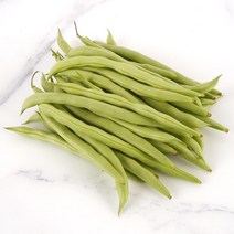 국내산 생 그린빈스 줄콩 300g 500g, 국내산 생 그린빈스 500g, 1개
