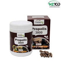 [뉴질랜드NZ100] 프로폴리스 3800mg 300캡슐 플라보노이드 프로포리스