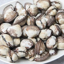 순천만 제철 새꼬막, 1개, 1kg