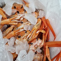 동해안 홍게 후포리 연지홍게 3kg (찜/생물선택가능), (Live발송) 울진 후포리 홍게 3kg(8-12마리)