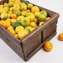 꿀꿀도매 극조생 타이백 감귤 3kg5kg10kg, 1개, 극조생타이백-5kg(대과(L-2L))