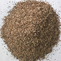 횡성더덕농장 더덕씨 씨앗 (1말 3.3kg), 더덕씨1말, 3.3kg