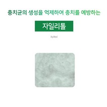 [아로마케이] 자일리톨 분말 비누 화장품 치약 만들기 재료 기능성원료, 1kg