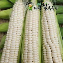 [즉시발송]귀한분께 선물하는 괴산대학찰옥수수 생물/냉동2가지, 30개입, 생물 괴산대학찰옥수수 선물용최상품_선물용 박스포장