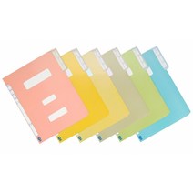 친환경 컬러 정부화일 A4 10개입, 청색(491120)