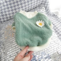 슈나우저 옷 강아지 환절기 산책룩 비숑 스피츠, 그린