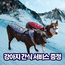 인기 애견바람막이점퍼 추천순위 TOP100