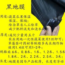 텃밭비닐하우스 하우스비닐 농사용부직포 소형 조립식 옥상 농막 보온 다육이 창고 미니온실, 메모, 검정색 3m 폭 150m 길이