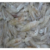 국산 꼴뚜기1kg 호래기 자연산 급속냉동, 소