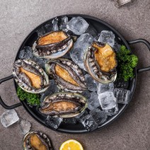산지직송 진도 전복 활전복 중 1kg (13-15미), 없음, 상세설명 참조