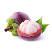 자연원 냉동 망고스틴 500g, 5개