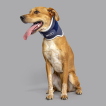 목보호대 (고양이 가능) BT NECK 발토보호대 /넥카라 경추보호대 점펫, L