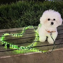 핀아펫 강아지 리드줄 자동 핸즈프리 개줄 애견 소형견 대형견 산책줄 (S), 자동 LED 리드줄, 자동 LED 리드줄(PP-LED02)
