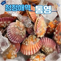 산지직송 통영 청정해역 제철 가리비 찜 가리비구이, 8kg