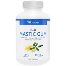 마이라이프 내추럴스 매스틱검 1000mg Mastic Gum 240베지캡슐, 240캡슐, 1개