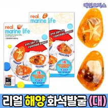 화석발굴 키트 DIY 재료 공룡 곤충 잼스톤 화석 해양화석 과학체험 관찰체험 과학준비물 체험키트 DIY 교육용완구 유물발굴키트 공룡화석 해양화석, 리얼 해양화석 발굴키트 (대)