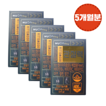 뉴온 보스웰리아 관절 연골 건강 관절력 800mg X 30정 X 5개 (150일분 5개월), 관절력5개, 150정