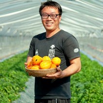 산지직송 성주참외 선물용 로얄과 가정용 못난이 효능, 정품, 5kg, 중과