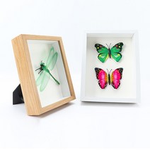 관액자 깊은 캘리그라피액자 드라이플라워 나무 아크릴투명 훈장 보석십자수 두께 4.5CM 5*7 6*8 8*10, 우드톤