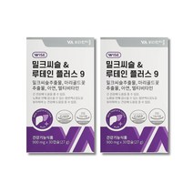 비타민마을 와이즈 밀크씨슬 루테인 플러스 9중기능성 2박스 2개월분, 단품, 단품