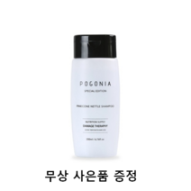 포고니아 파인콘 네틀 두피청소 샴푸 200ml, 1개