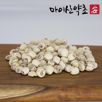 연꽃열매 연자육200g 생 연밥 연꽃씨앗 베트남산 0.2748ea, SH_ 1, SH_ 본상품선택