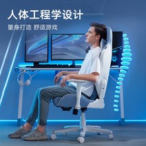 로이조의자 허리피아 노인의자 피방의자 푹신한 편한, B Shield of Glory