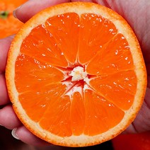 오렌지한박스 프리미엄고당도오렌지 오렌지제철 오렌지네이블, 네이블 오렌지 3kg