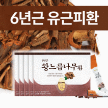 이너블릭 간편하게 느릅나무환 스틱 국내산 100%, 180g, 5박스, 5개