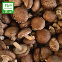 장흥표고버섯 무농약 국내산 배지 생 표고버섯 산지직송 특품 상품 가정용 1kg 2kg, 특품1kg