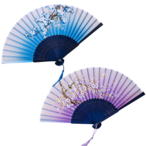 데이즈인 휴대용 접이식 손부채 2개 묶음, 세트10, 1개