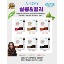 (애터미) 정품 멋내기 새치 겸용 염색약 천연단백질특허성부함유 애터미살롱앤컬러, 로즈브라운, 2개