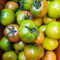 과일 부산 대저 짭짤이토마토 2.5kg M사이즈 2박스 대저토마토 부산대저토마토 겨울과일 제철과일 짭잘이토마토 짭짤한토마토 대저짭짤이토마토 맛있는토마토 [WBB7CE4], 쿠팡 1, 쿠팡 본상품선택