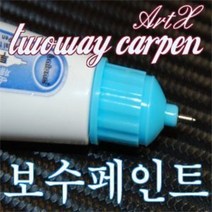 그랜드카니발 카니발R 투웨이카펜 보수페인트, 7P