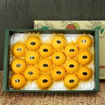 제주 제철과일 프리미어 황금향 선물세트 1.5kg 2.5kg 4.5kg, 명품선물세트2.5kg+2.5kg+2.5kg