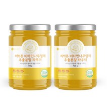 씨벅톤 비타민나무열매 추출분말 파우더 120g, 2통
